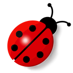 Maikäfer